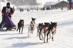 Lenk 2012 SM